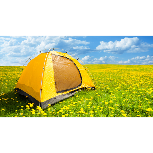 Spring Camping Checklist: Simplify Your Spring Adventure with Camp Rentique