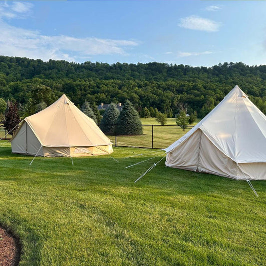 Four Wild Flowers in a Glamping Tent