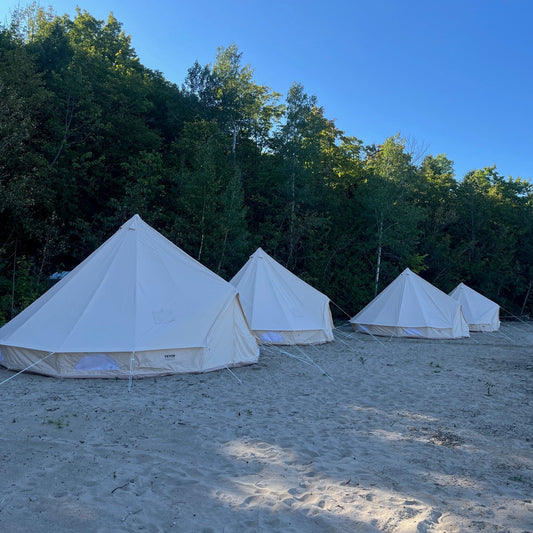 Six Wild Flowers in a Glamping Tent