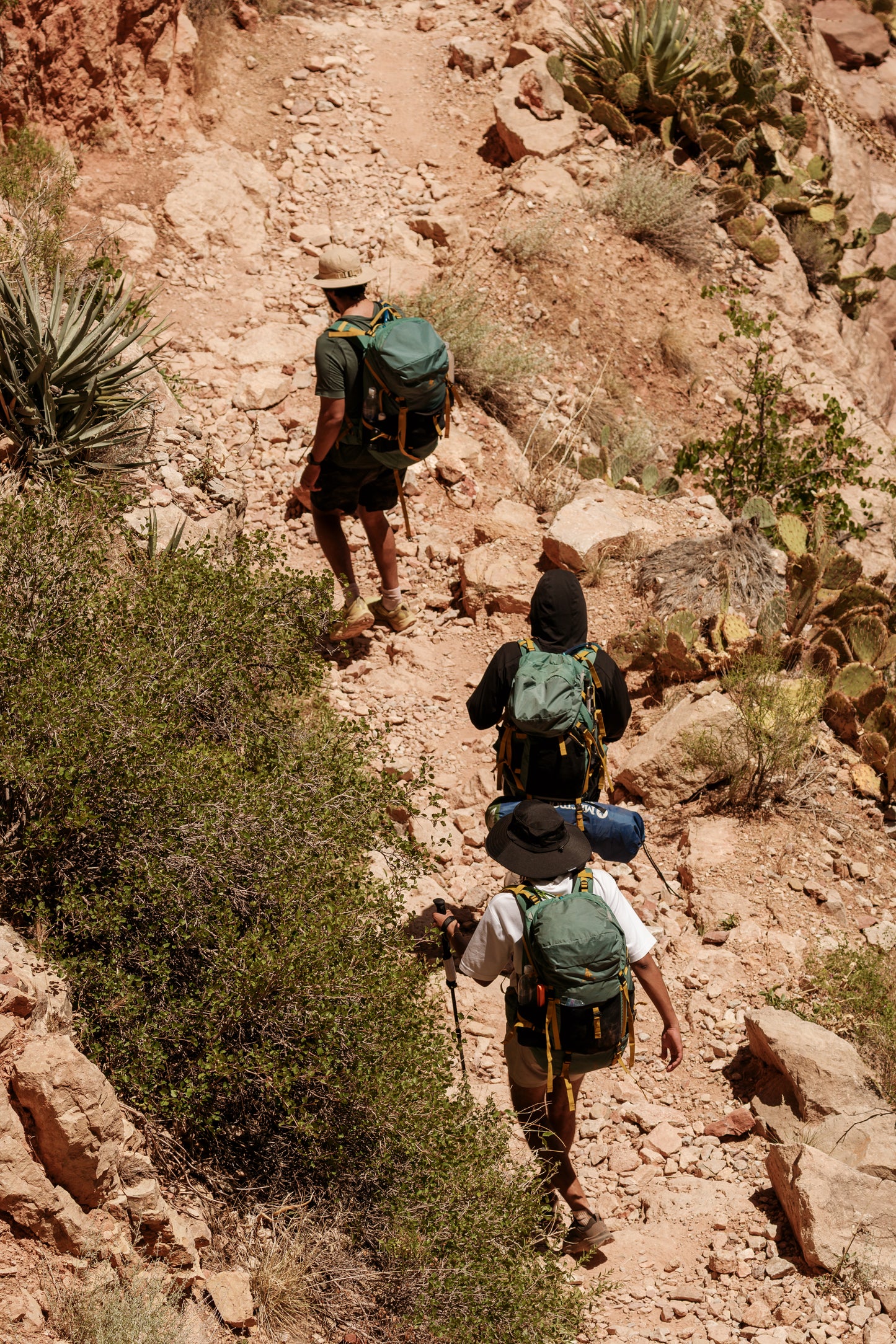 Backpacking Essential Package for 1 - Three-Season