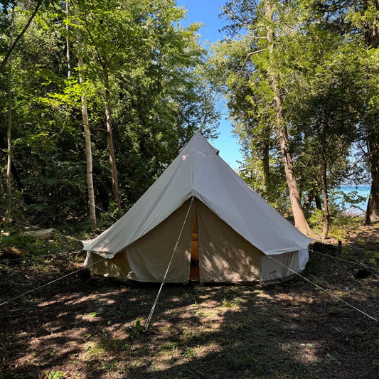 Two Wild Flowers in a Glamping Tent