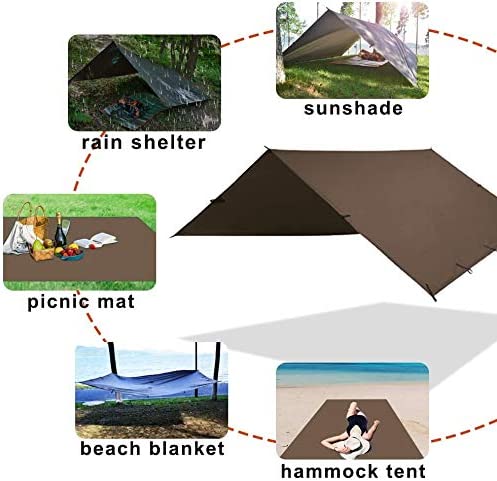 Tarp