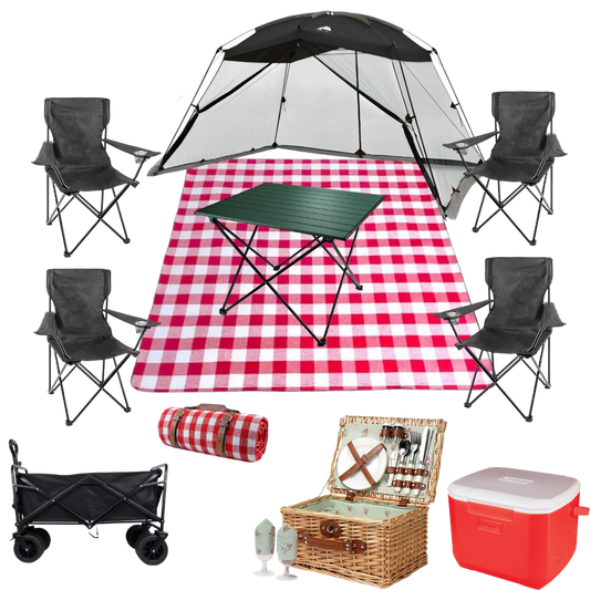 Picnic Package for 4